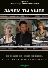 Постер фильма Зачем ты ушел? (2008)