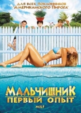 Постер фильма Мальчишник: Первый опыт (2010)