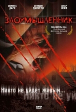 Постер фильма Злоумышленник (2004)