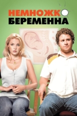 Постер фильма Немножко беременна (2007)