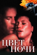 Постер фильма Цвет ночи (1994)