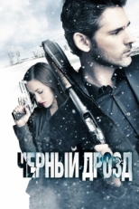 Постер фильма Черный дрозд (2012)