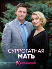 Постер сериала Суррогатная мать (2020)