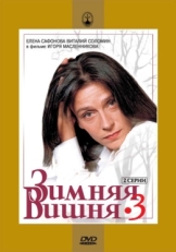 Постер фильма Зимняя вишня 3 (1995)