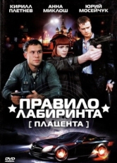 Постер сериала Правило лабиринта: Плацента (2009)