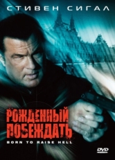 Постер фильма Рожденный побеждать (2010)