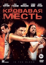 Постер фильма Кровавая месть (2013)