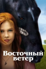 Постер фильма Восточный ветер (2013)