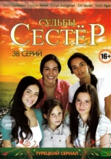 Постер сериала Судьбы сестёр (2008)