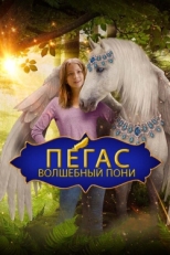 Постер фильма Пегас: Волшебный пони (2019)