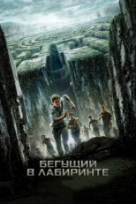 Постер фильма Бегущий в лабиринте (2014)