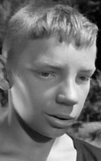 Вячеслав Царев