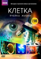 Постер сериала BBC: Клетка (2009)