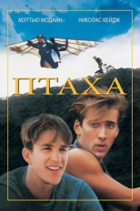 Постер фильма Птаха (1984)