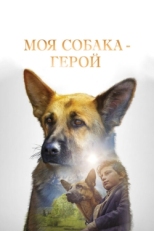 Постер фильма Моя собака — герой (2019)