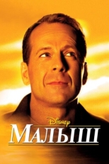 Постер фильма Малыш (2000)