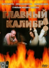 Постер сериала Главный калибр (2006)