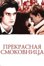 Постер фильма Прекрасная смоковница (2008)