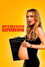 Постер фильма Временно беременна (2009)