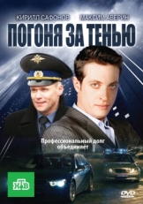 Постер сериала Погоня за тенью (2010)