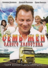 Постер сериала Семь жен одного холостяка (2009)