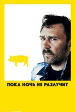 Постер фильма Пока ночь не разлучит (2012)