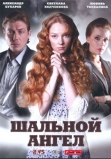 Постер сериала Шальной ангел (2008)