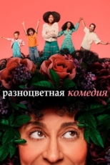 Постер сериала Разноцветная комедия (2019)