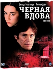 Постер фильма Черная вдова (2005)