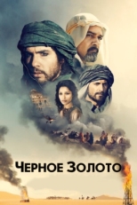 Постер фильма Черное золото (2011)