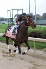 Кэлвин Борел