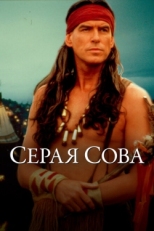 Постер фильма Серая сова (1999)