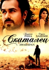 Постер фильма Скиталец (2007)