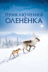 Постер фильма Приключения оленёнка (2018)