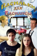 Постер фильма Васильки для Василисы (2012)