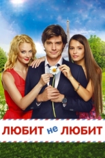 Постер фильма Любит не любит (2014)