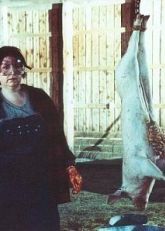 Кристи Уорд