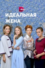 Постер сериала Идеальная жена (2018)