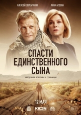 Постер сериала Спасти единственного сына (2022)