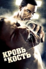 Постер фильма Кровь и кость (2009)