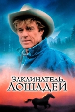 Постер фильма Заклинатель лошадей (1998)