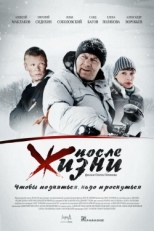 Постер фильма После жизни (2008)