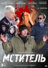 Постер сериала Мститель (2013)